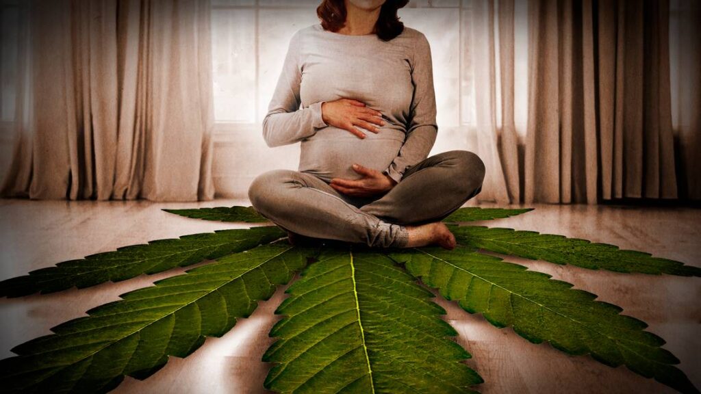 Pregnant Pot
