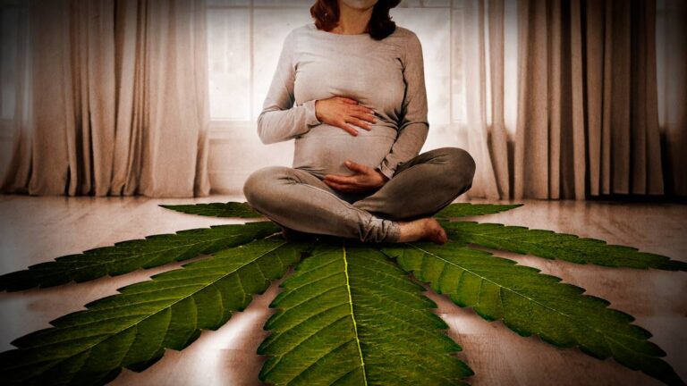 Pregnant Pot