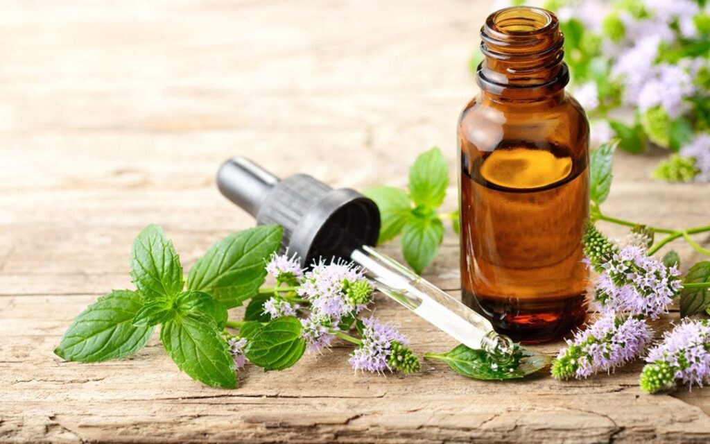 The Cultivation of Hemp for CBD Oil