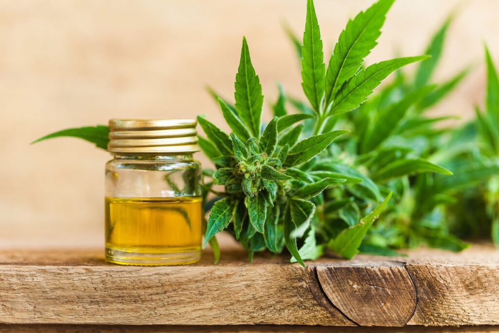 CBD Smoothie Recipes for Daily Wellness