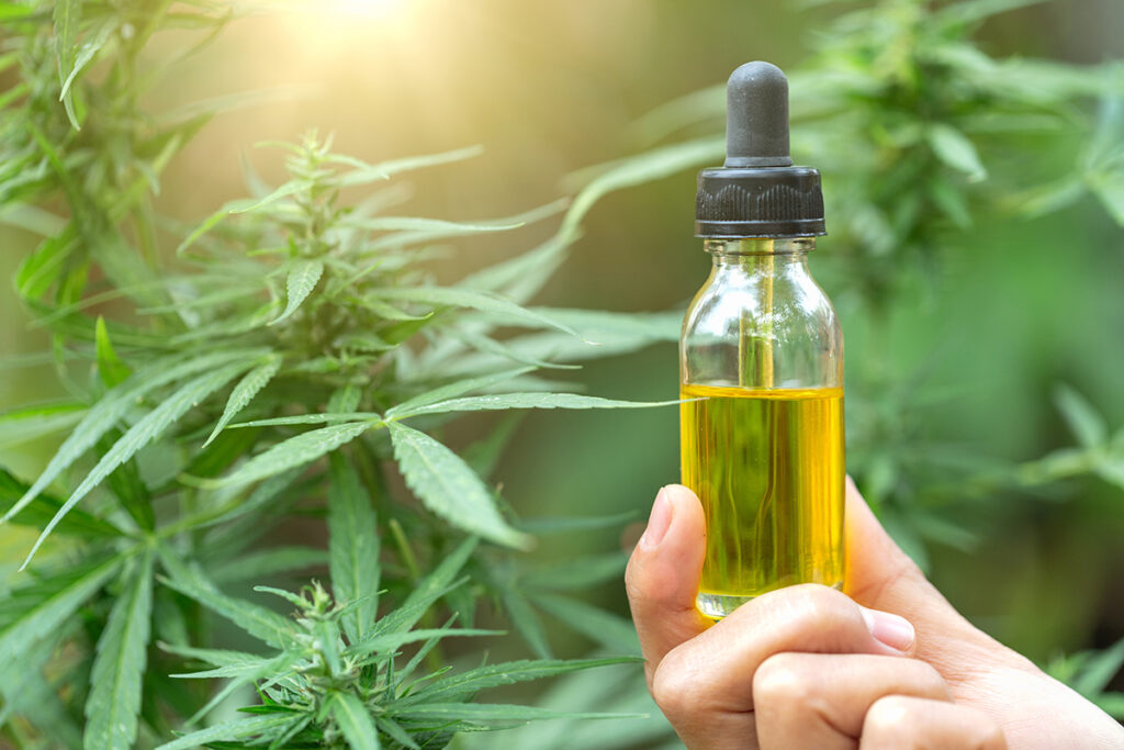 What Is CBD Oil and How Does It Work?