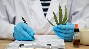 CBD Oil and Brain Health