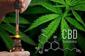CBD Oil for healthy lifestyle